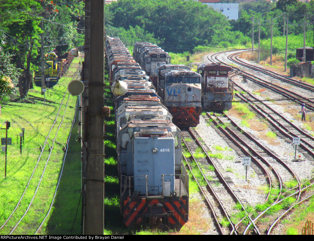 VLI 4816